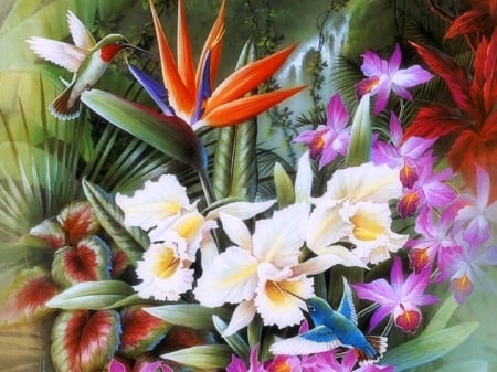 Tropical Paradise - hummingbirds, birds, summer, paintings, flowers, cattleya, nature, tropical, orchids, love four seasons, animals