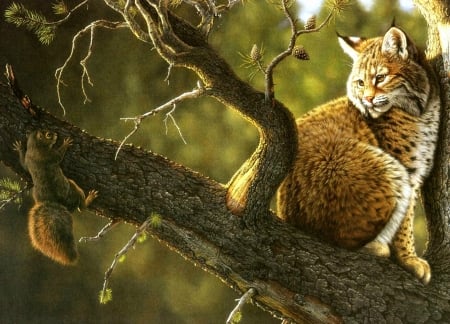 Squirrel and lynx - lynx, animal, squirrle, cat, art, pisica, pictura, orange, wild, tree, branch, luminos, painting, green