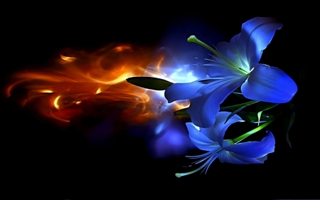 Blue Fantasy - blossom, flower, petals, light