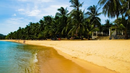 Wonderful place for weekend - beautiful, beach, tree, sea