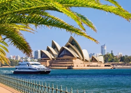 Sydney Opera - water, ship, harbor, fence, building, palm