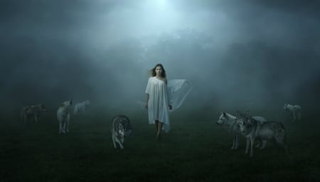 Walking Among The Wolves - trees, female, fog, dress, wolves, lady, mist, woman, field, brunette