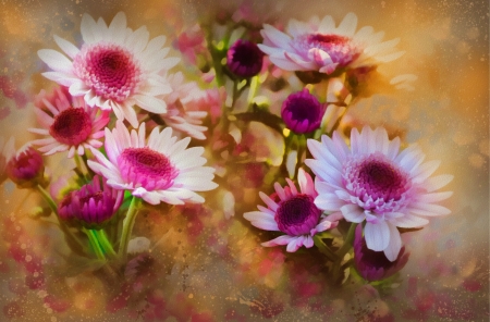 Floral background - art, pretty, floral, beautiful, flowers, daisies, spring