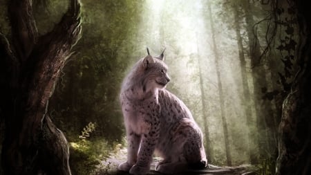 Lynx