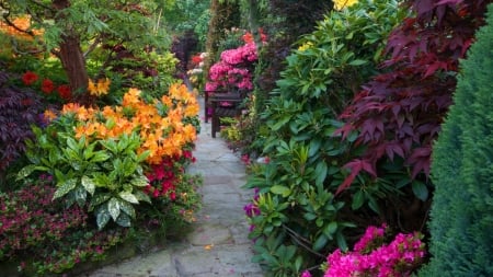 Beautiful Garden - path, flowers, nature, garden