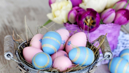 Easter Eggs - easter, flowers, decoration, eggs