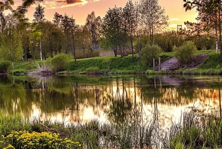 Pond Reflection - Plant, Pond, Nature, Sky