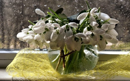 Snowdrops in a Bowl