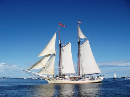 Maine Cruise Schooner - Schooner, Rockland Maine, Maine, sailboat