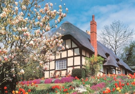 April Flowers - cottage, blossoms, colors, magnolia, tree, garden