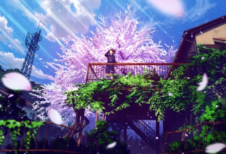 Spring - anime, blue, blossom, girl, spring, petals, pink, tree, manga, purple, green, technoheart