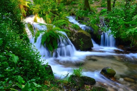 Waterfall in spring forest - greenery, wildflowers, cascades, trees, waterfall, stream, spring, forest