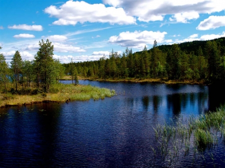 Glassy Lake - clouds, trees, lakes, sky