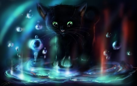 kitten in bubbles - black, fantasy, bubbles, cat