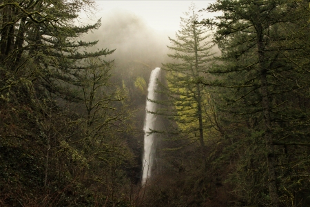 Latourell Falls Oregon - beauty, nature, falls, water, columbia river gorge, waterfall