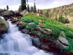 Waterfall at Grand Tetons NP