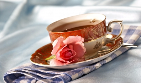 Still Life - pretty, still life, rose, cup