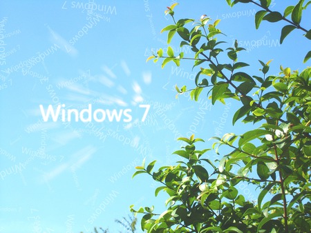 Wallpaper 134 - Windows 7 - clouds, microsoft, blue, seven, windows, beautyful, tree, leafs, windows 7, green, 7, sky