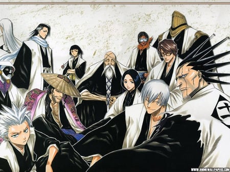 Bleach - tv show, anime