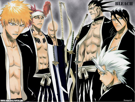 Bleach - anime, tv show