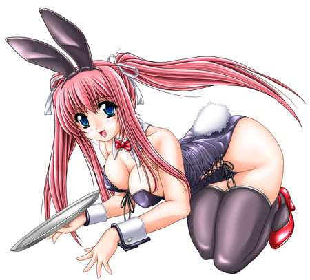 bunnygirl,white - white, bunnygirl