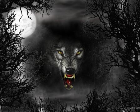 wolf - wolf, scary