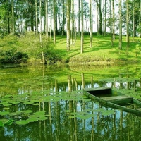 FOREST POND