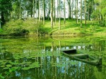 FOREST POND