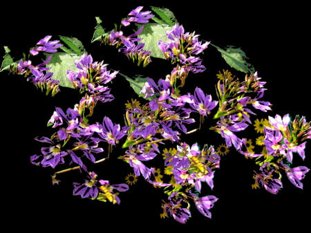 Purple flowers - flowers, 3d