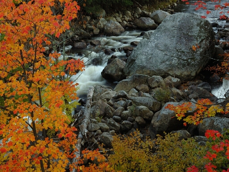 autumn stream - stream, autumn