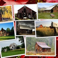 Barns Abound Collage