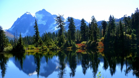 Reflection of Perfection - lake, sky, mountain, trees, daylight, day, bush, water, widescreen, washington, nature, fall, forest, reflection, clouds, grass