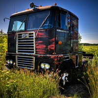 Diamond in the rough.........