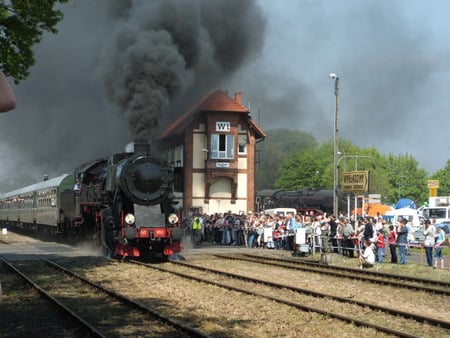 train - nature, trains