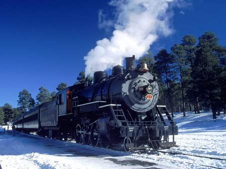 train in winter - trains, nature