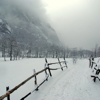 snowy  winter path 