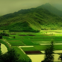 Green Landscape