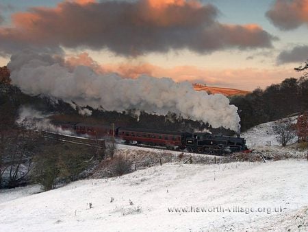 train in winter - trains, nature