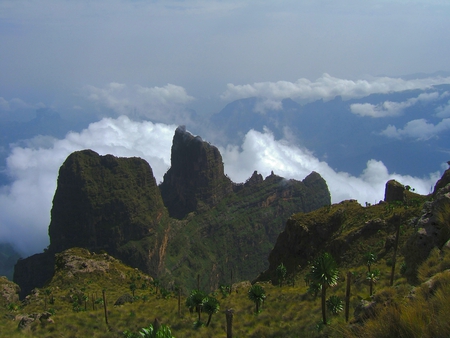 Semien Mountains Ethiopea - ethiopea, mountains, mountain, semien