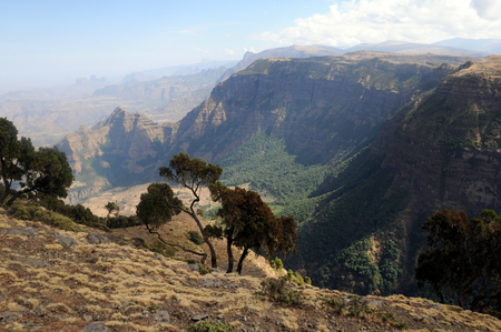 Semien Mountains Ethiopea - ethiopea, semien, mountains, mountain