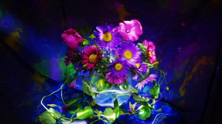 Bucket of Flowers - flowers, plants, bloom, bucket