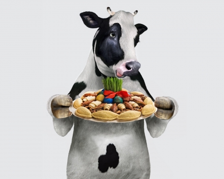 Happy Easter! - cow, spot, commercial, food, creative, easter, black, dinner, fantasy, white, animal, funny, egg, vaca, add