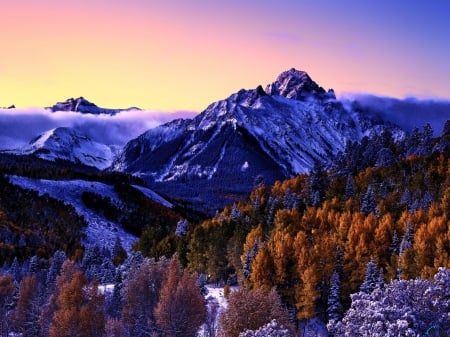 Winter Evening in the Mountains - trees, winter, nature, evening, snow, forest, mountains