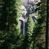 Coniferous Forest and Waterfall,  Finland