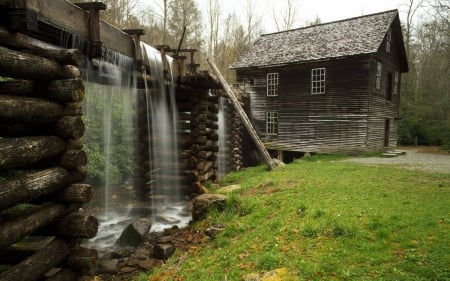 cabin - forest, architecture, cool, fun, house