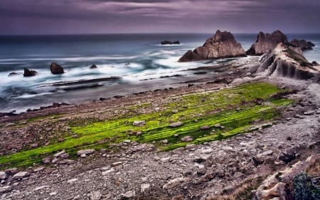 rocky shoreline - cool, fun, beach, ocean, nature