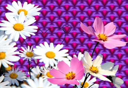 Fabulous flowers - fractal, wallpaper, white, abstract, hearts, purple, pretty, floral, pink, daisies