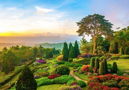 Wonderful Garden - path, trees, sunset, landscape, plants