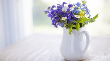 Still Life - flowers, jar, still life, bloom