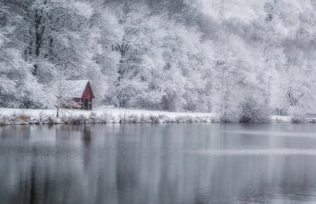 Cabin In The Woods - trees, Cabin In The Woods, water, cabin, snow, lake, forest, woods